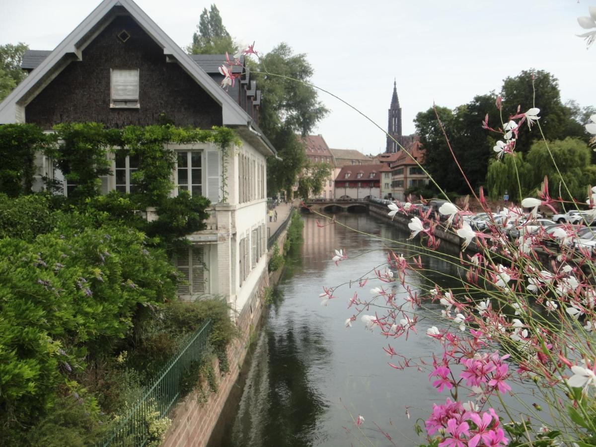 Gite Le Petit Moulin Rosenwiller Dış mekan fotoğraf