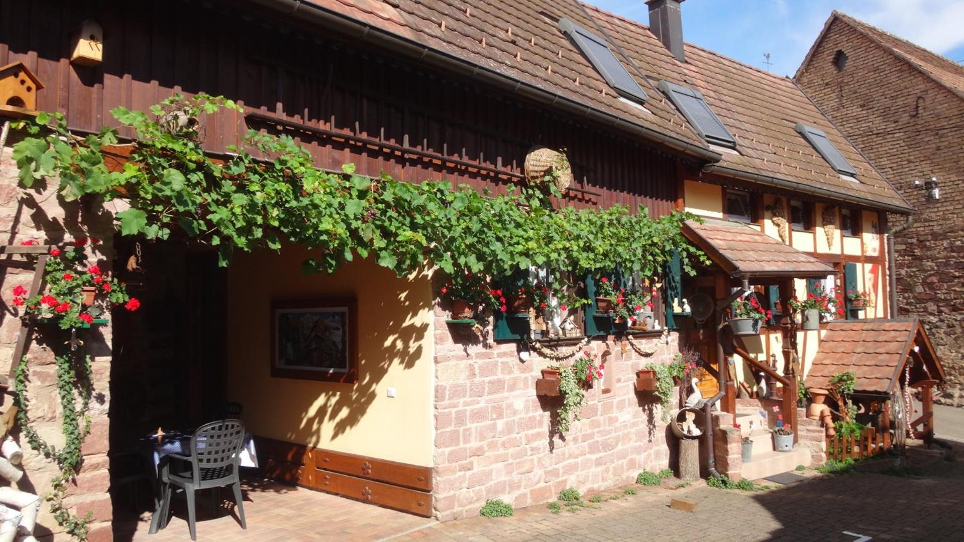 Gite Le Petit Moulin Rosenwiller Dış mekan fotoğraf