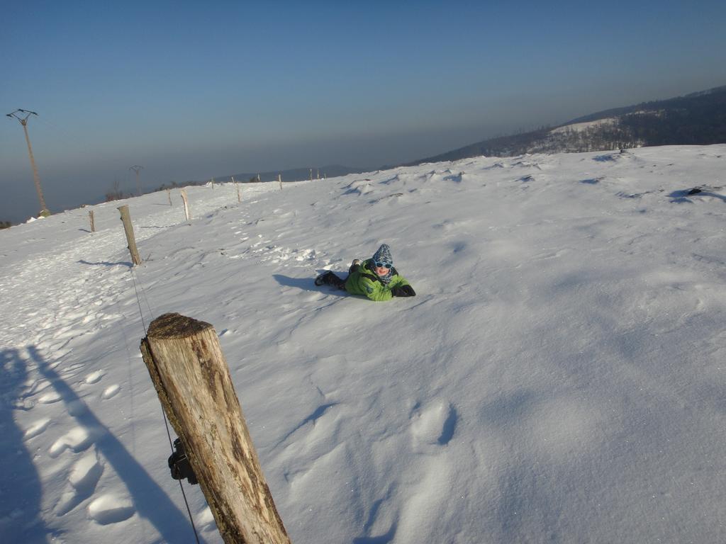 Gite Le Petit Moulin Rosenwiller Dış mekan fotoğraf