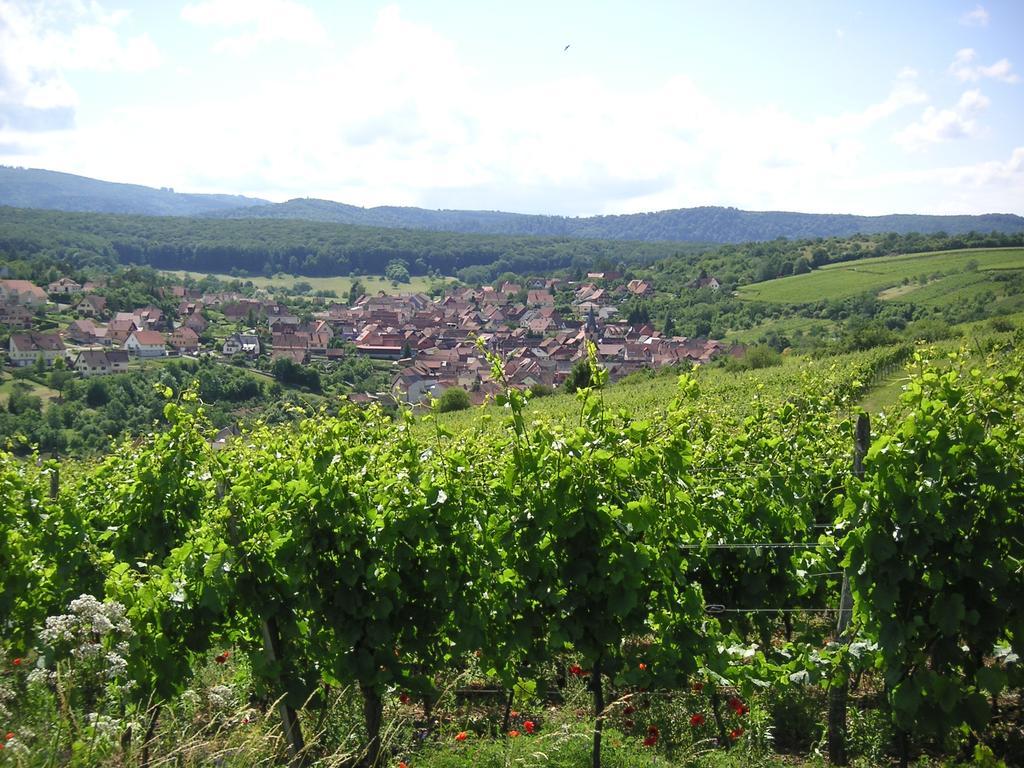 Gite Le Petit Moulin Rosenwiller Dış mekan fotoğraf