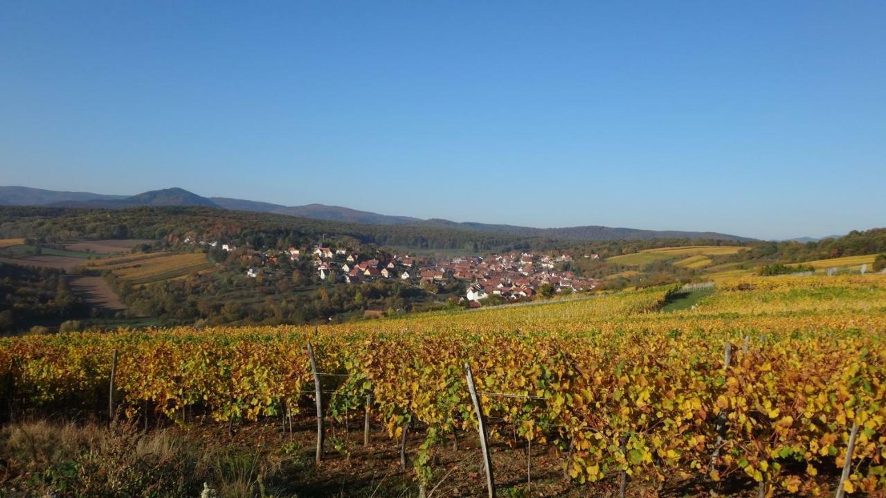 Gite Le Petit Moulin Rosenwiller Dış mekan fotoğraf
