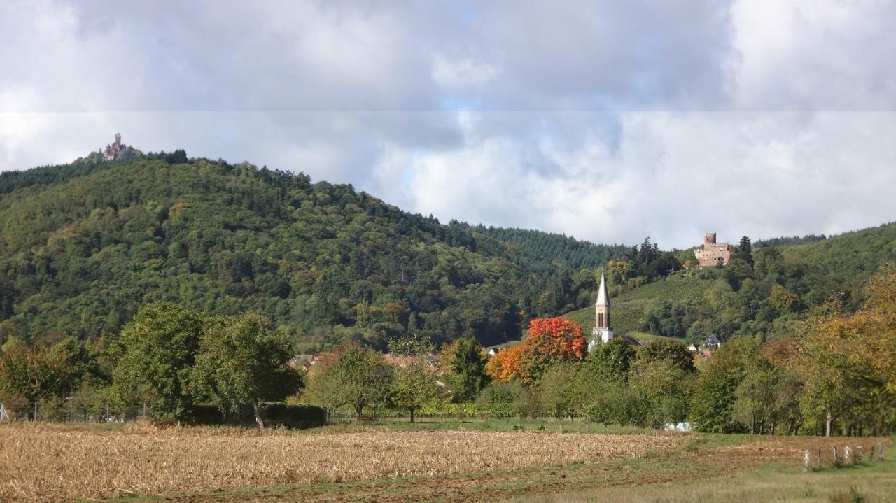 Gite Le Petit Moulin Rosenwiller Dış mekan fotoğraf