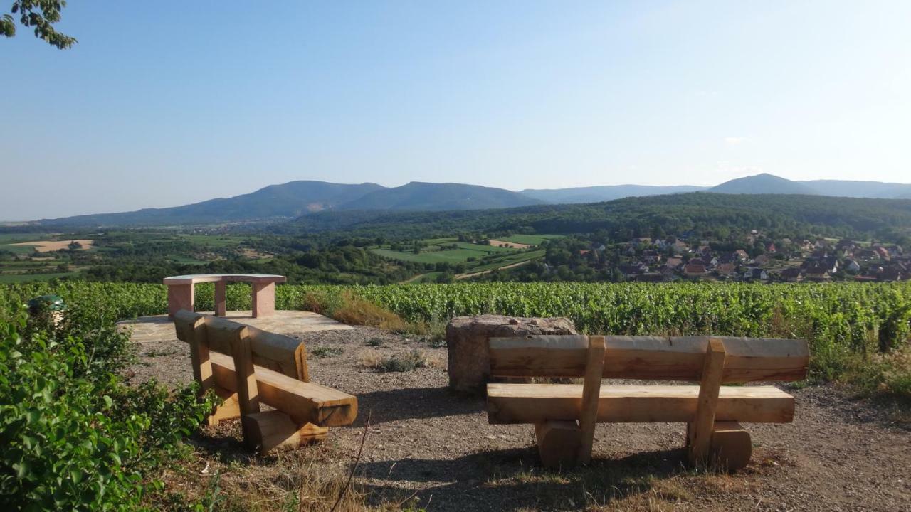 Gite Le Petit Moulin Rosenwiller Dış mekan fotoğraf