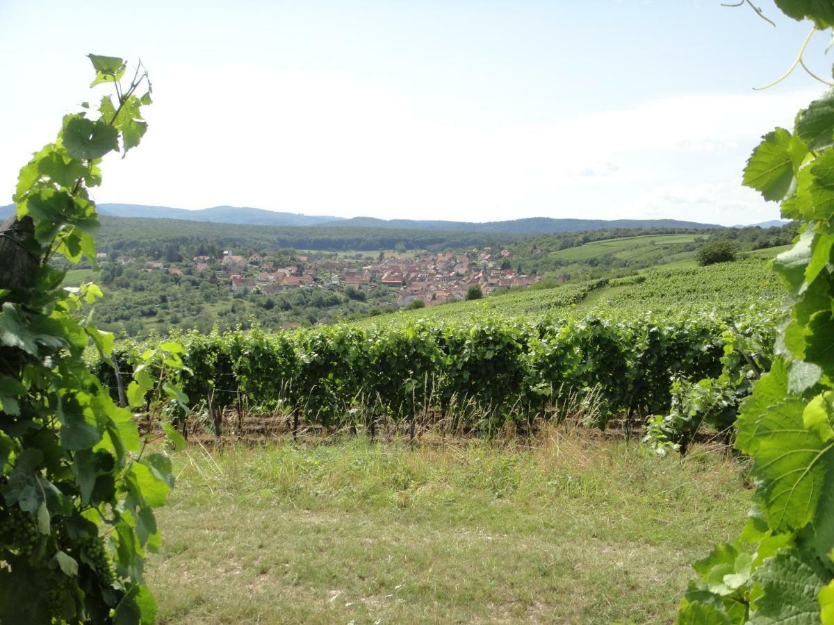 Gite Le Petit Moulin Rosenwiller Dış mekan fotoğraf