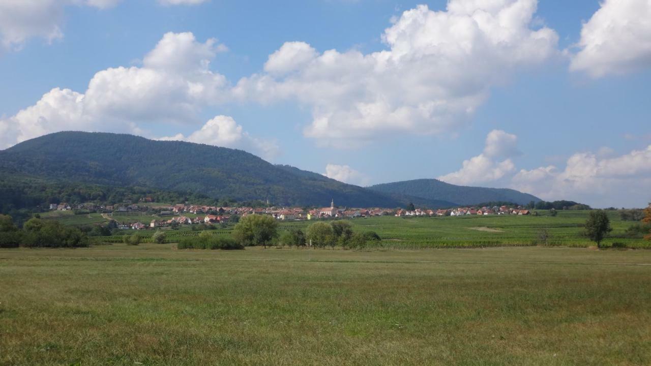 Gite Le Petit Moulin Rosenwiller Dış mekan fotoğraf