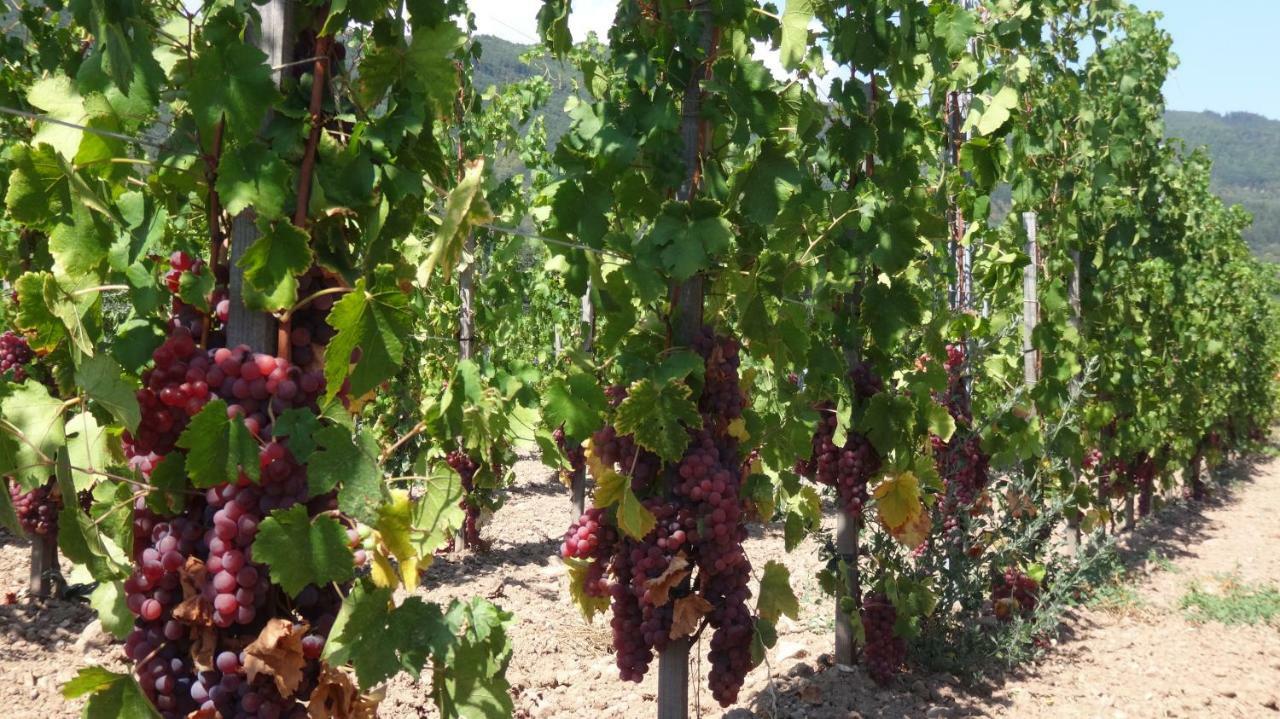 Gite Le Petit Moulin Rosenwiller Dış mekan fotoğraf