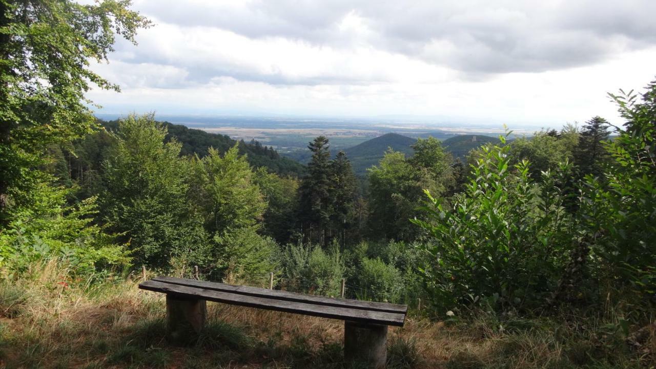 Gite Le Petit Moulin Rosenwiller Dış mekan fotoğraf