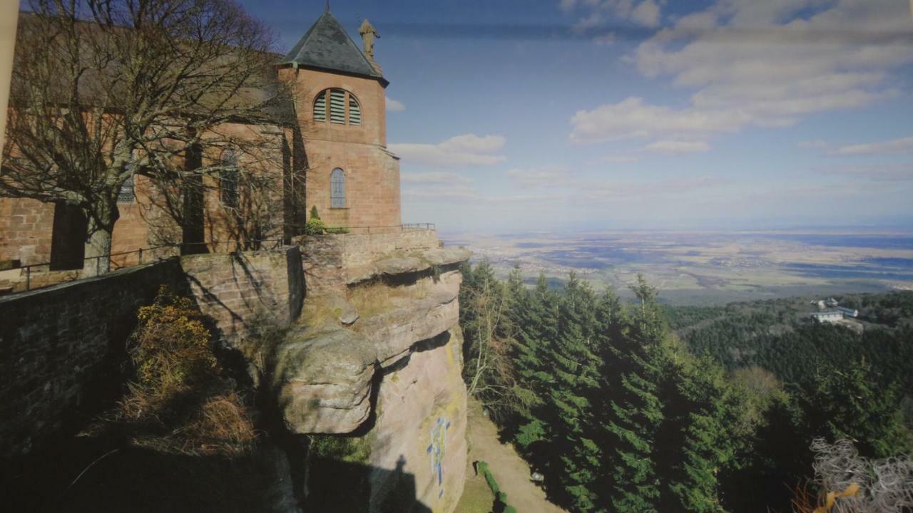 Gite Le Petit Moulin Rosenwiller Dış mekan fotoğraf
