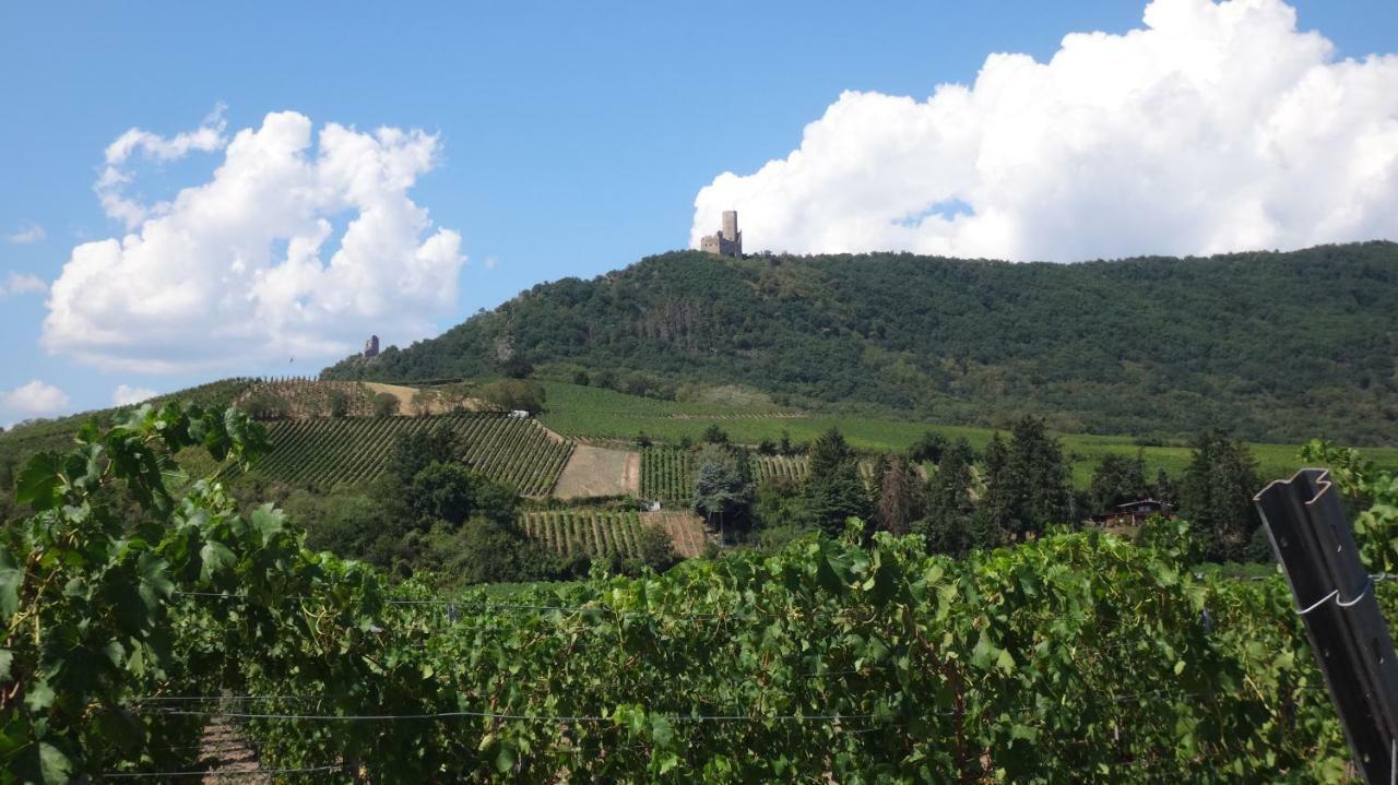 Gite Le Petit Moulin Rosenwiller Dış mekan fotoğraf