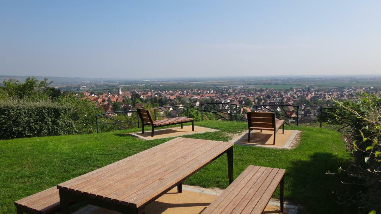 Gite Le Petit Moulin Rosenwiller Dış mekan fotoğraf