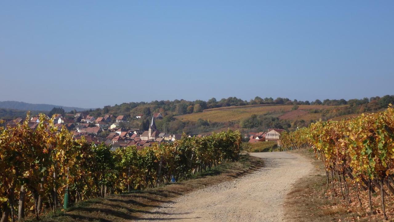Gite Le Petit Moulin Rosenwiller Dış mekan fotoğraf