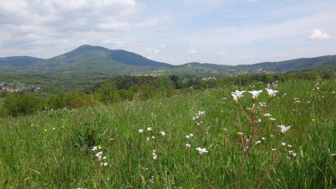Gite Le Petit Moulin Rosenwiller Dış mekan fotoğraf